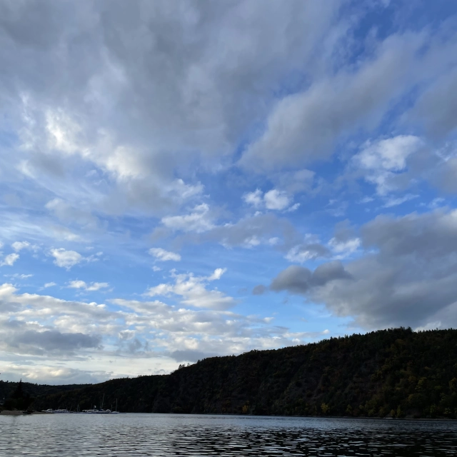 A74952FF-78A1-4D1B-8839-FC5EDBD3AA33.jpeg
