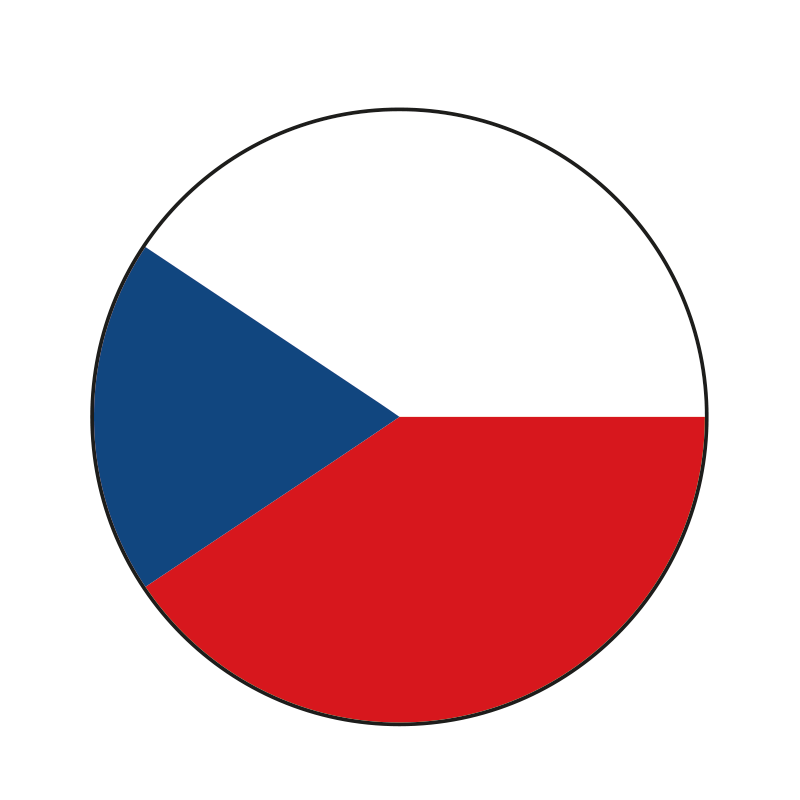 Jsme ryze česká firma Jsme ryze česká firma